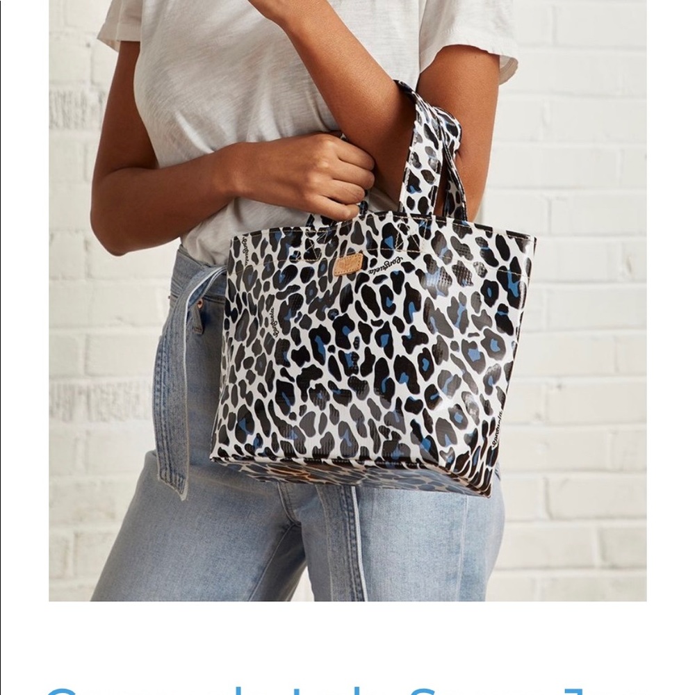 Consuela mini tote and wallet pouch